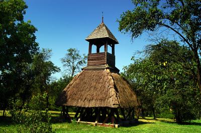 Pankasz, Szoknyás harangláb-stock-foto