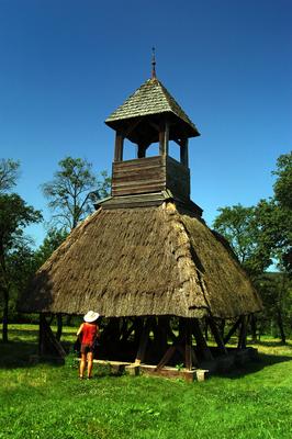 Pankasz, Szoknyás harangláb-stock-foto