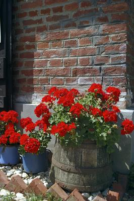 Szalafő - Pityerszer-stock-foto