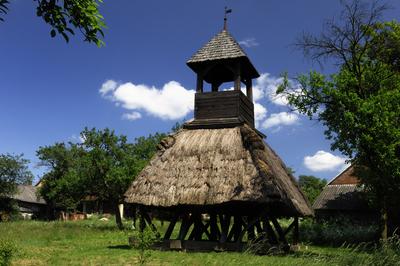 Pankasz, Szoknyás harangláb-stock-foto