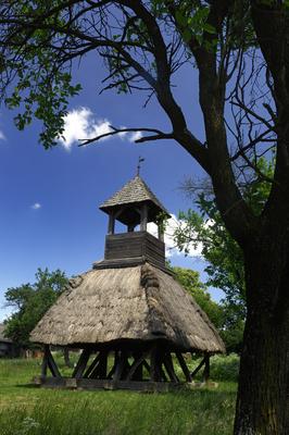Pankasz, Szoknyás harangláb-stock-foto