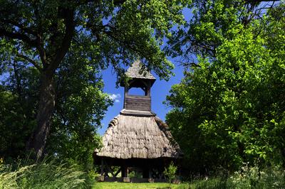 Pankasz, Szoknyás harangláb-stock-foto