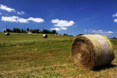 Őrségi táj Szalafőn-stock-foto