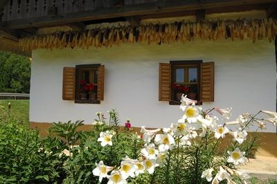 Nagyrákos, tájház-stock-foto