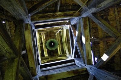 Pankasz, Szoknyás harangláb-stock-foto