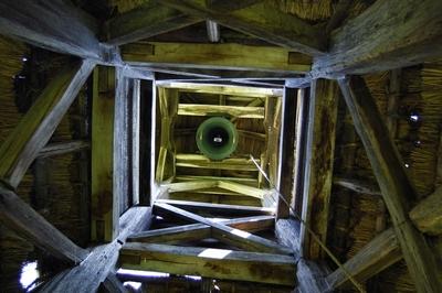 Pankasz, Szoknyás harangláb-stock-foto