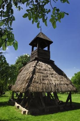 Pankasz, Szoknyás harangláb-stock-foto
