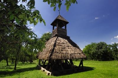 Pankasz, Szoknyás harangláb-stock-foto