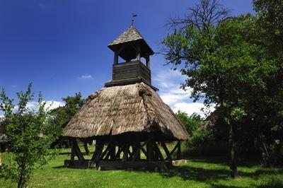Pankasz, Szoknyás harangláb-stock-foto