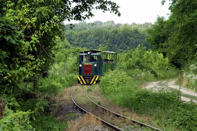 Kisvasút a Gemenci erdőben-stock-foto