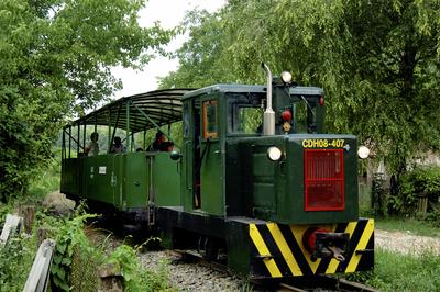 Kisvasút a Gemenci erdőben-stock-foto