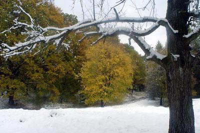 Eresztvény tanösvény-stock-foto