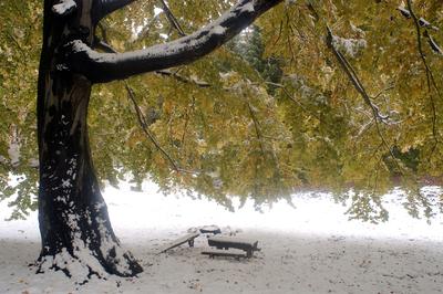 Eresztvény tanösvény-stock-foto