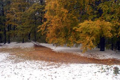 Eresztvény tanösvény-stock-foto