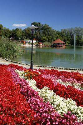 Gyömrői tófürdő-stock-foto
