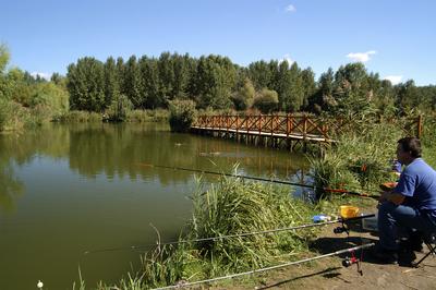 Péteri Horgásztó és Pihenőpark-stock-foto