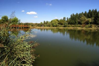 Péteri Horgásztó és Pihenőpark-stock-foto