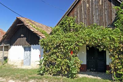 Monor, Strázsa-hegyi borospincék-stock-foto