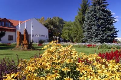 Csemő, a virágos falu-stock-foto