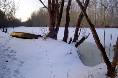 Téli táj a Gemenci erdőben-stock-foto