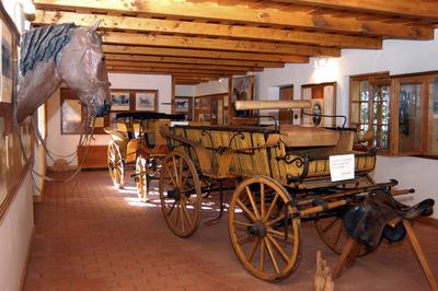 Tápiószentmárton, Kincsem múzeum-stock-foto