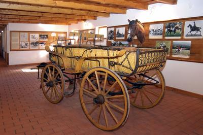 Tápiószentmárton, Kincsem múzeum-stock-foto