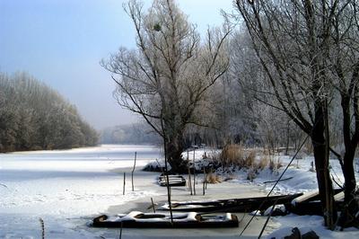 Téli táj a Gemenci erdőben-stock-foto