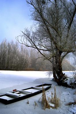 Téli táj a Gemenci erdőben-stock-foto