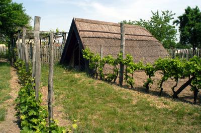Ócsa, Öreghegyi Pincesor-stock-foto