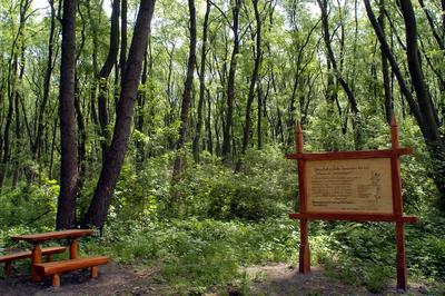 Ócsai Tájvédelmi Körzet-stock-foto