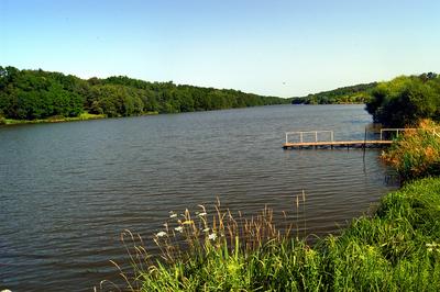 Zalalövői Borostyán-tó (horgásztó)-stock-foto