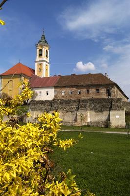 Vác, Szent Kereszt ferences templom-stock-foto