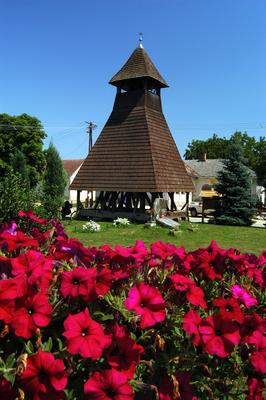 Nemesnép, szoknyás harangláb-stock-foto