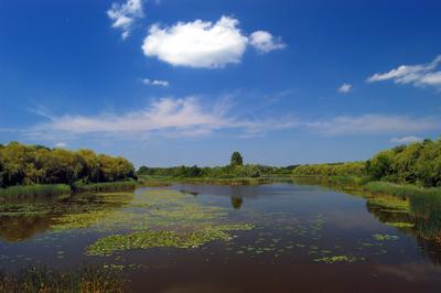 A Kis-Balaton látképe Zalaváron-stock-foto