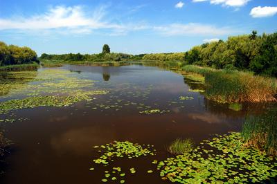 A Kis-Balaton látképe Zalaváron-stock-foto