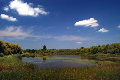 A Kis-Balaton látképe Zalaváron-stock-foto