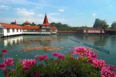 Hévízi Tófürdő-stock-foto