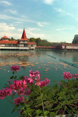 Hévízi Tófürdő-stock-foto