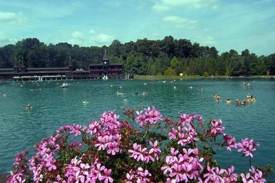 Hévízi Tófürdő-stock-foto