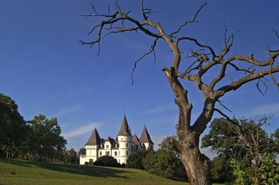 Tiszadob, Andrássy-kastély-stock-foto