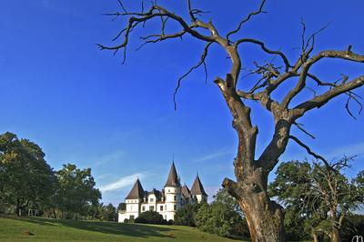 Tiszadob, Andrássy-kastély-stock-foto