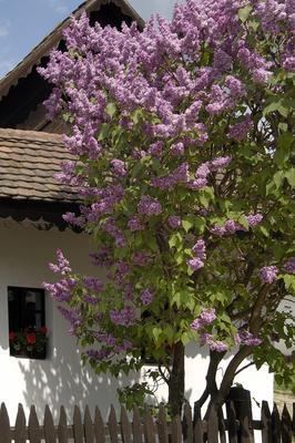 Hollókő, Ófalu védett falurész-stock-foto