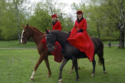 Lovas program a Gödöllői Királyi Kastély parkjában-stock-foto