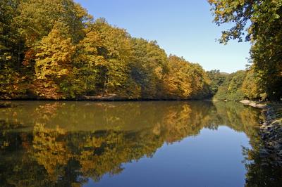 Királyréti horgásztó-stock-foto