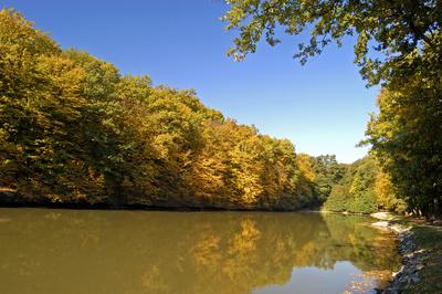 Királyréti horgásztó-stock-foto