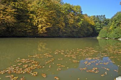Királyréti horgásztó-stock-foto