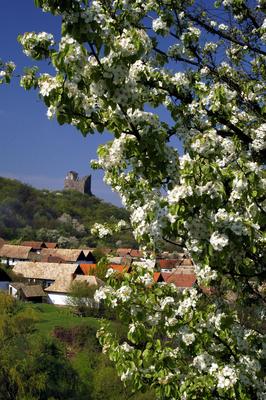 Hollókő, az Ófalu és a Hollókői vár-stock-foto