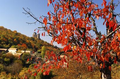 Hollókő, az Ófalu védett falurész ősszel-stock-foto