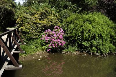 Szombathely, Kámoni Arborétum-stock-foto