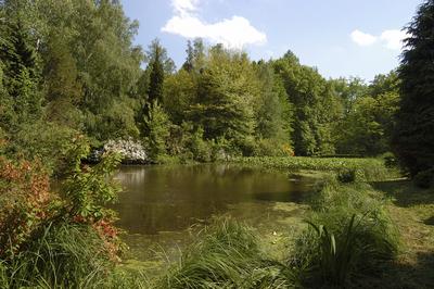 Szombathely, Kámoni Arborétum-stock-foto